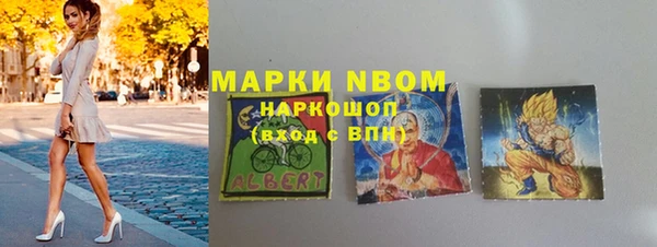 амф Пестово