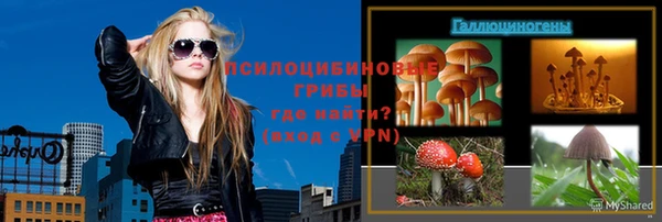 не бодяженный Гвардейск