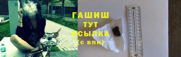 индика Галич