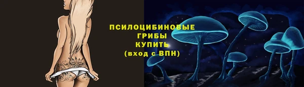 не бодяженный Гвардейск