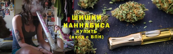 шишки Переславль-Залесский