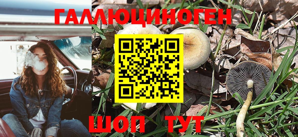 Псилоцибиновые грибы прущие грибы  Псилоцибиновые грибы GOLDEN TEACHER  даркнет сайт  Вход с VPN  Анжеро-Судженск 