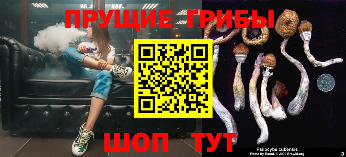 Галлюциногенные грибы мицелий Анжеро-Судженск